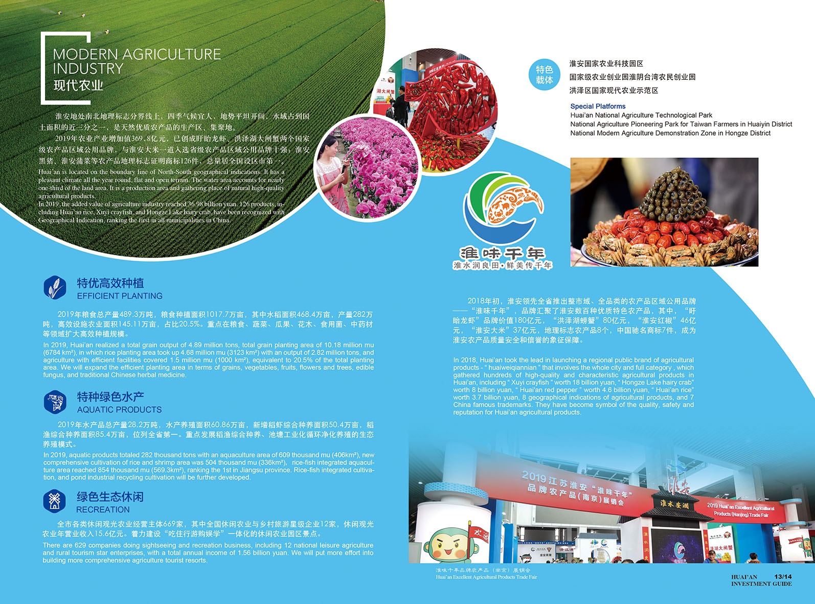 Top1����רҵ������Ѷ����������ƽ̨