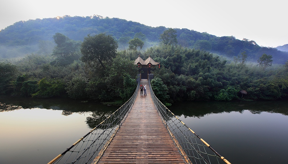 Top1����רҵ������Ѷ����������ƽ̨