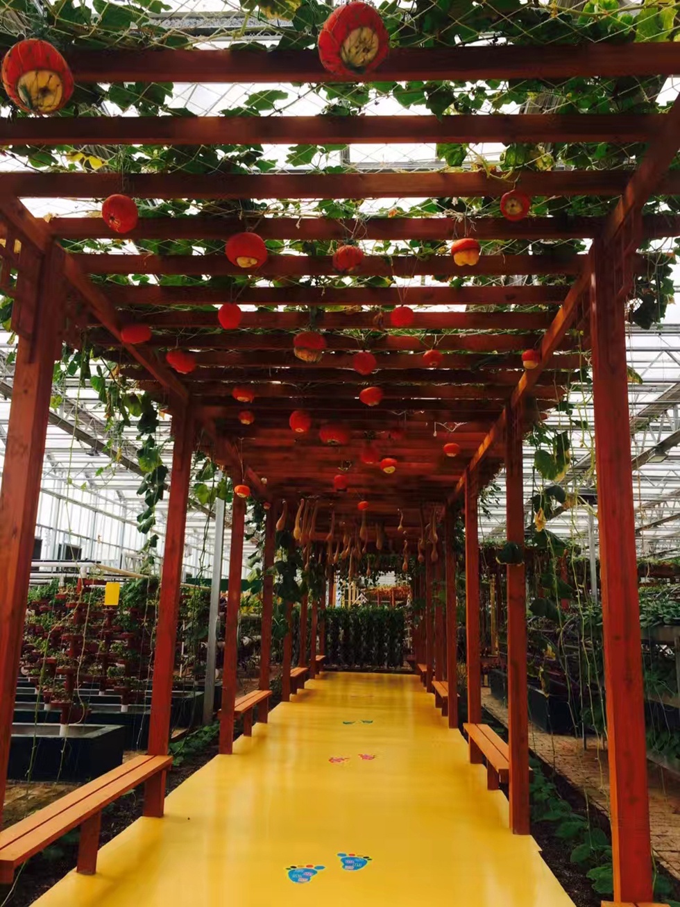 Top1����רҵ������Ѷ����������ƽ̨