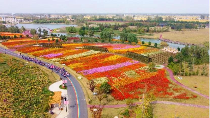 Top1����רҵ������Ѷ����������ƽ̨