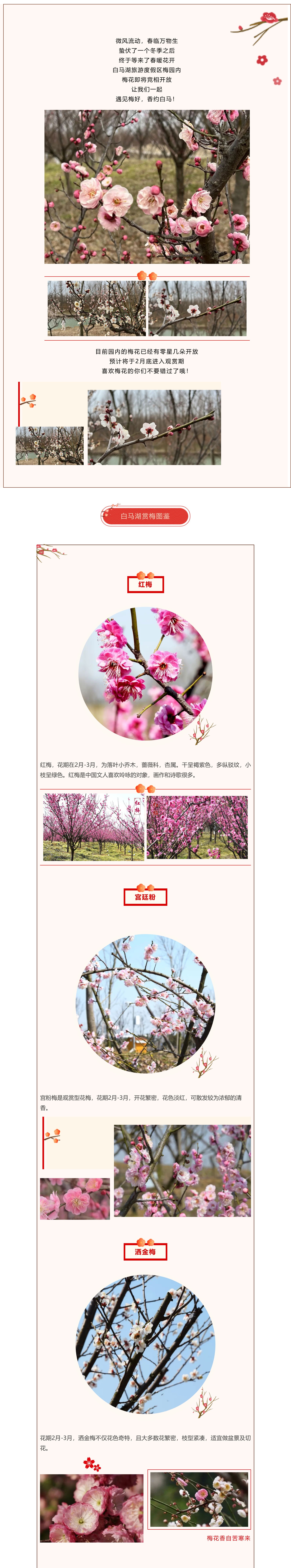 Top1����רҵ������Ѷ����������ƽ̨