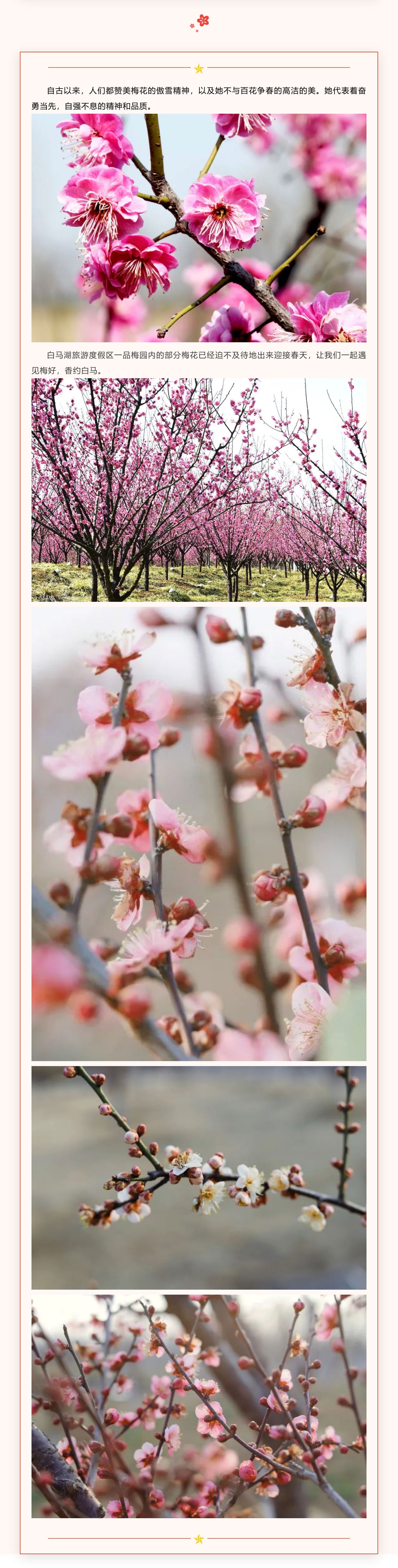 Top1����רҵ������Ѷ����������ƽ̨