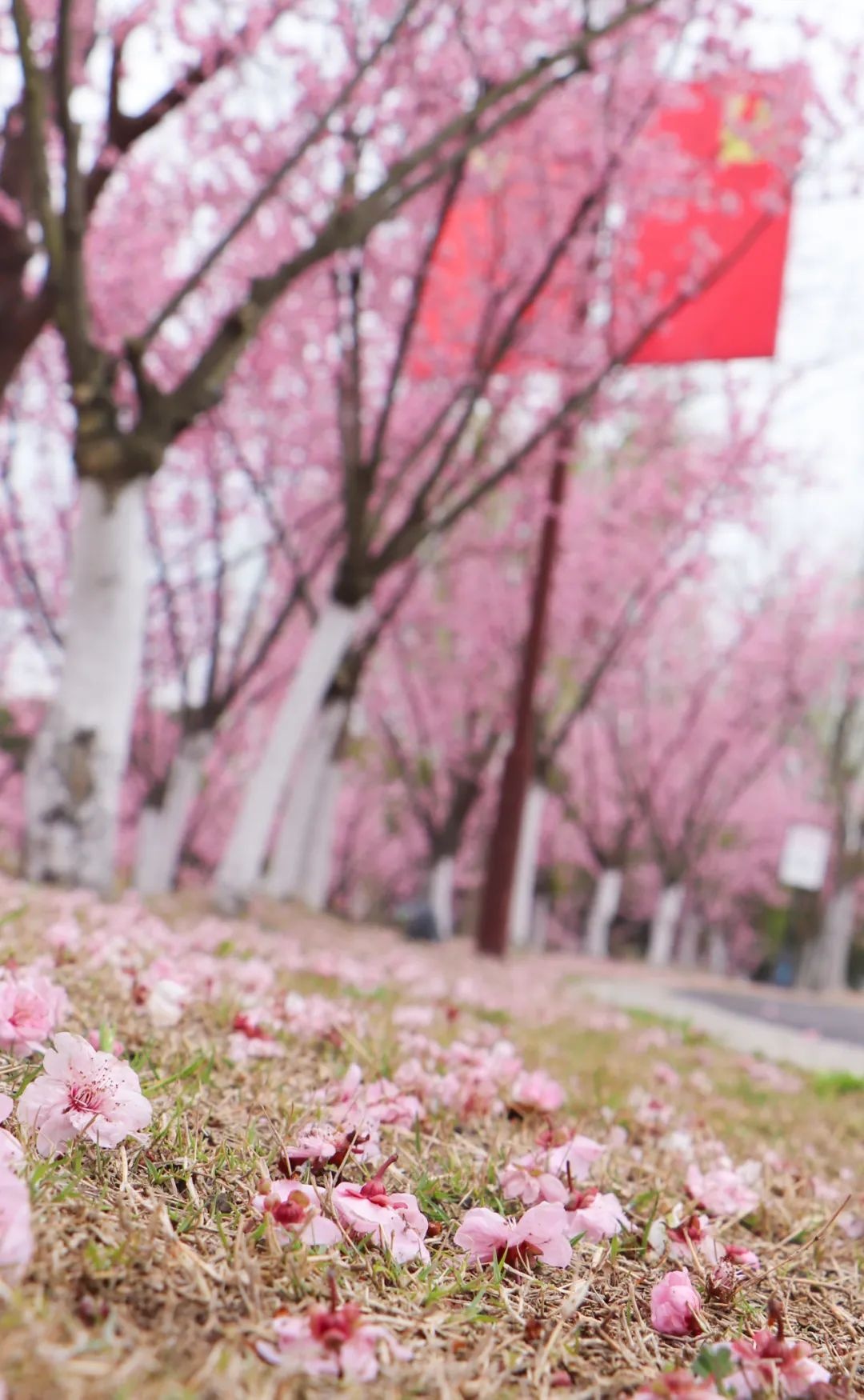 Top1����רҵ������Ѷ����������ƽ̨