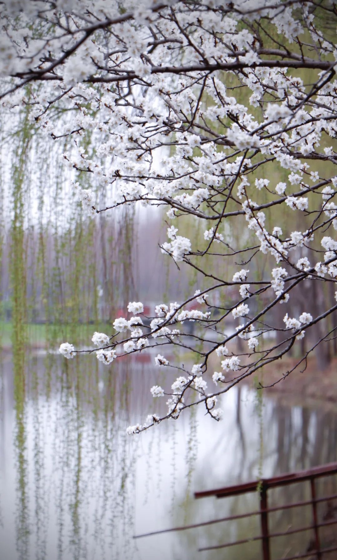 Top1����רҵ������Ѷ����������ƽ̨