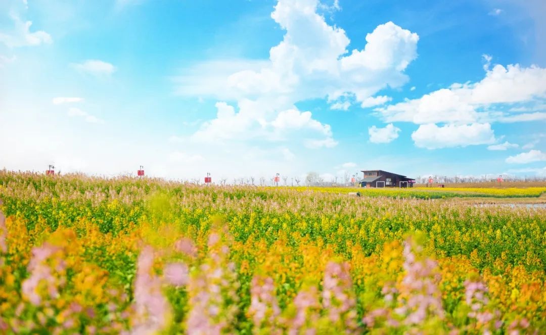 Top1����רҵ������Ѷ����������ƽ̨