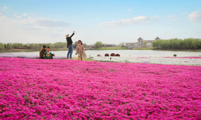 Top1����רҵ������Ѷ����������ƽ̨