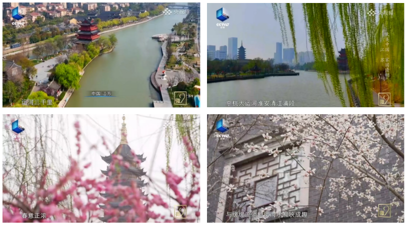 Top1����רҵ������Ѷ����������ƽ̨