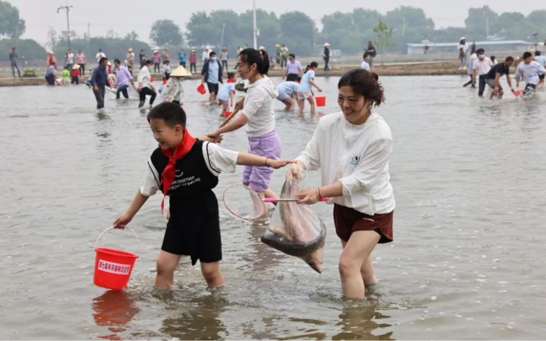 Top1����רҵ������Ѷ����������ƽ̨