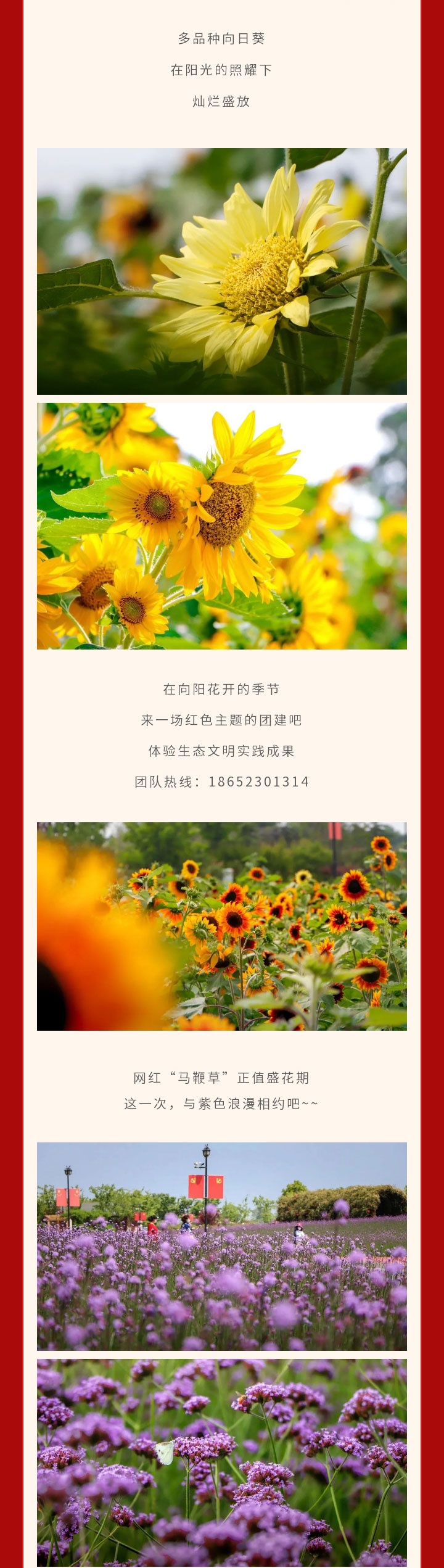 Top1����רҵ������Ѷ����������ƽ̨