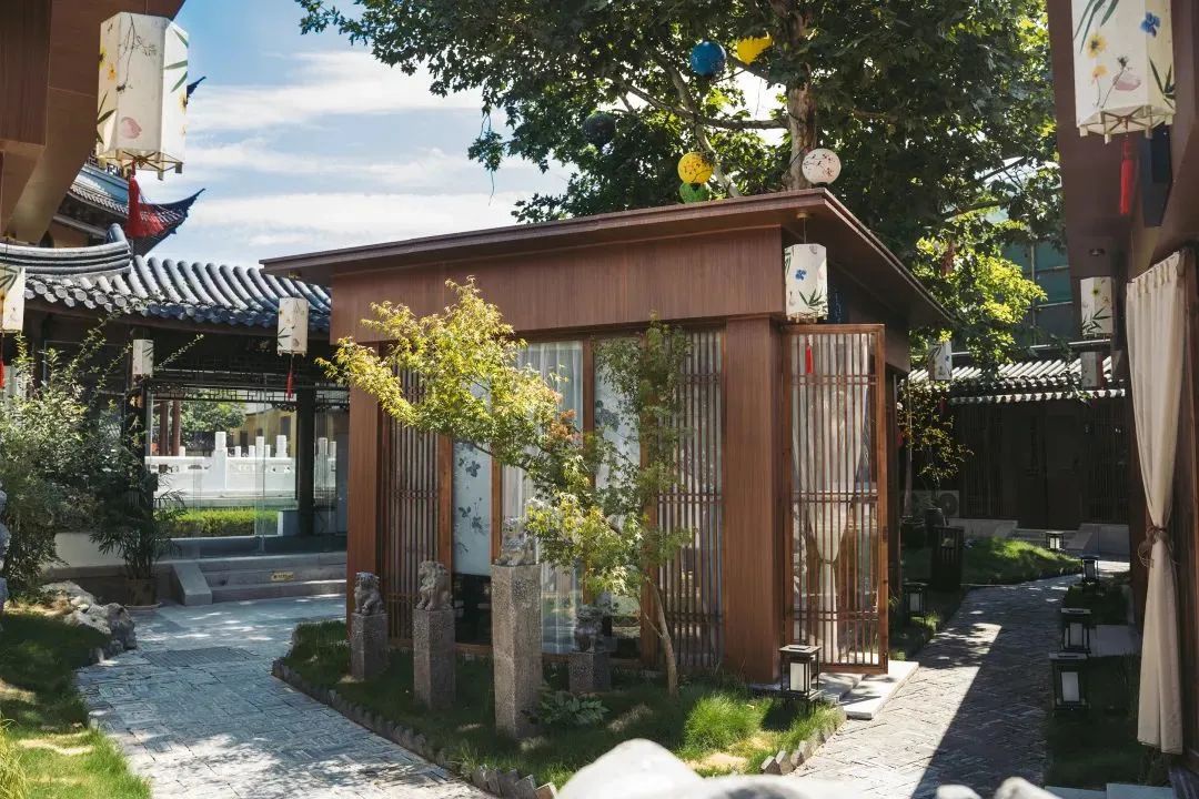 Top1����רҵ������Ѷ����������ƽ̨