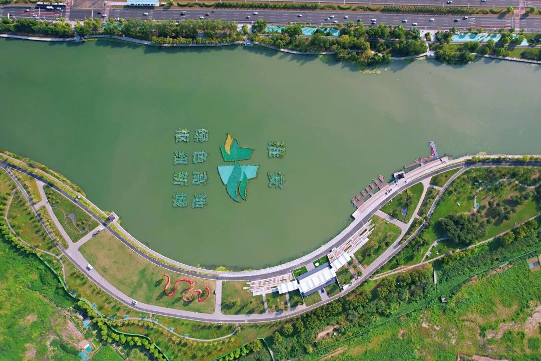 Top1����רҵ������Ѷ����������ƽ̨