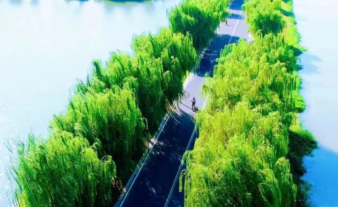 Top1����רҵ������Ѷ����������ƽ̨