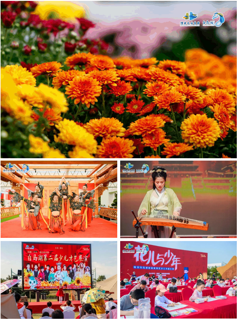 Top1����רҵ������Ѷ����������ƽ̨