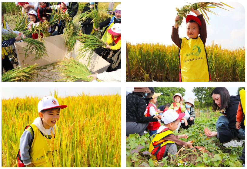 Top1����רҵ������Ѷ����������ƽ̨