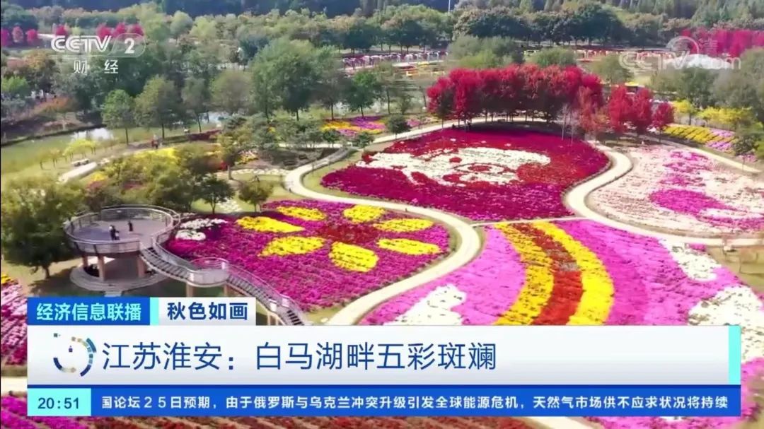 Top1����רҵ������Ѷ����������ƽ̨