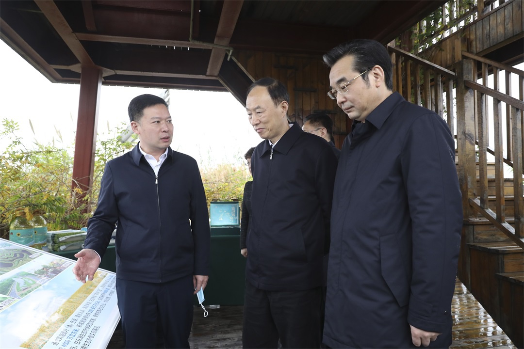 Top1����רҵ������Ѷ����������ƽ̨