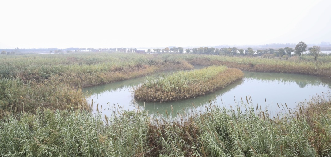 Top1����רҵ������Ѷ����������ƽ̨