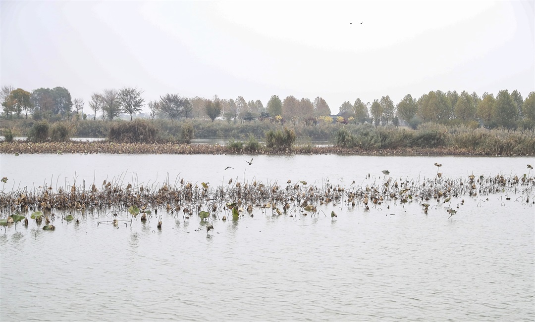 Top1����רҵ������Ѷ����������ƽ̨