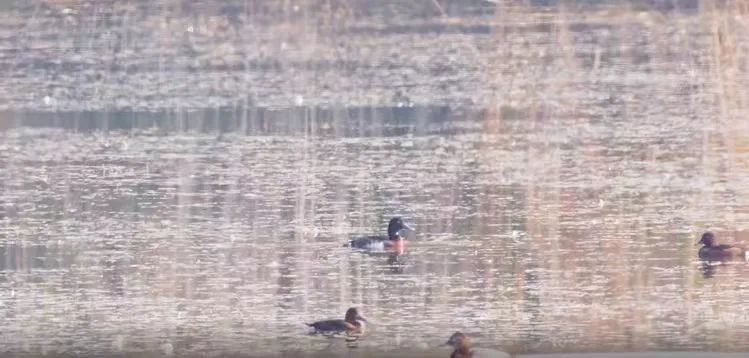 Top1����רҵ������Ѷ����������ƽ̨