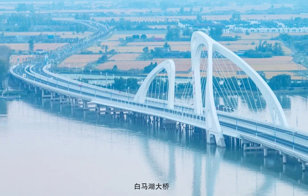 Top1����רҵ������Ѷ����������ƽ̨