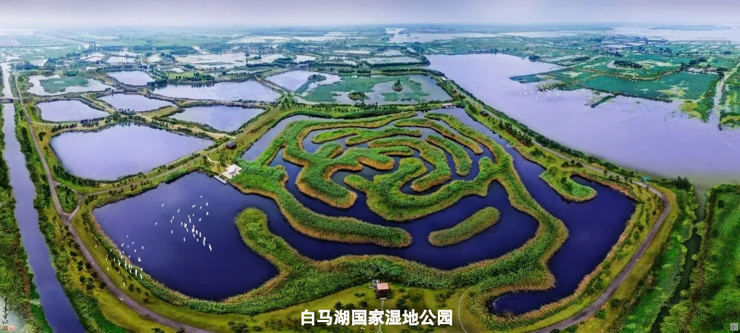 Top1����רҵ������Ѷ����������ƽ̨