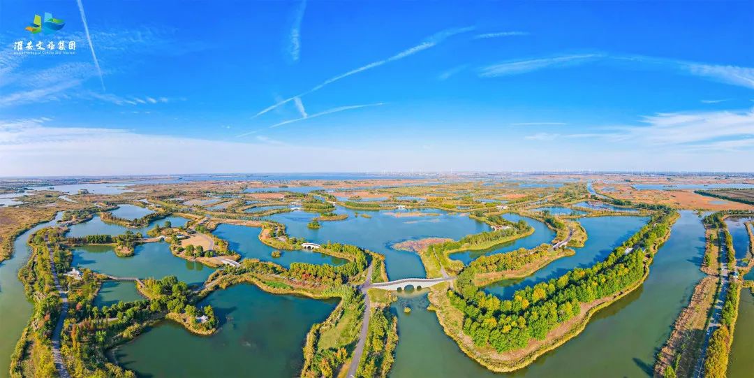 Top1����רҵ������Ѷ����������ƽ̨