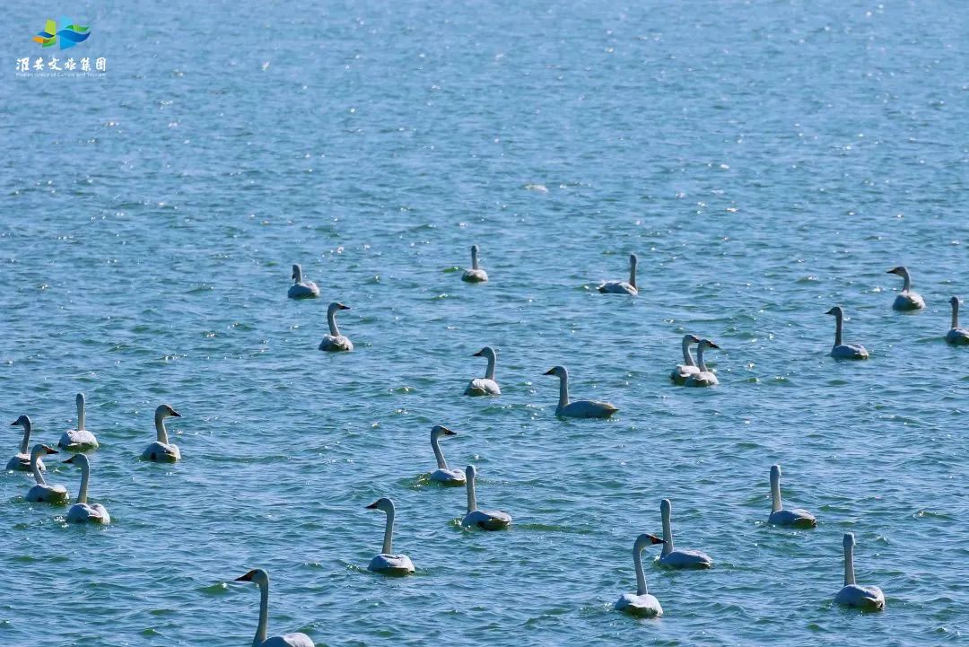 Top1����רҵ������Ѷ����������ƽ̨