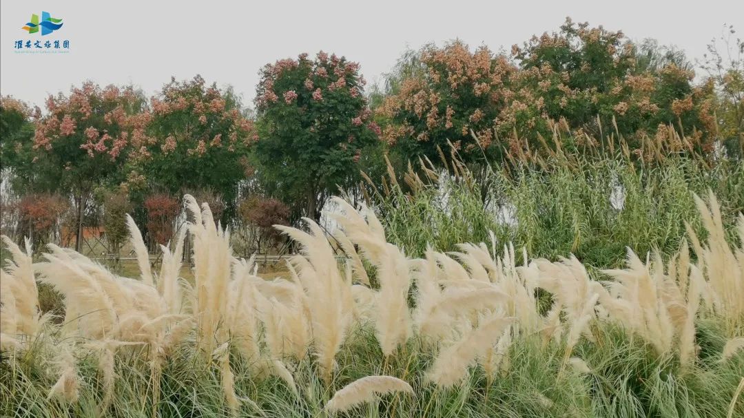 Top1����רҵ������Ѷ����������ƽ̨