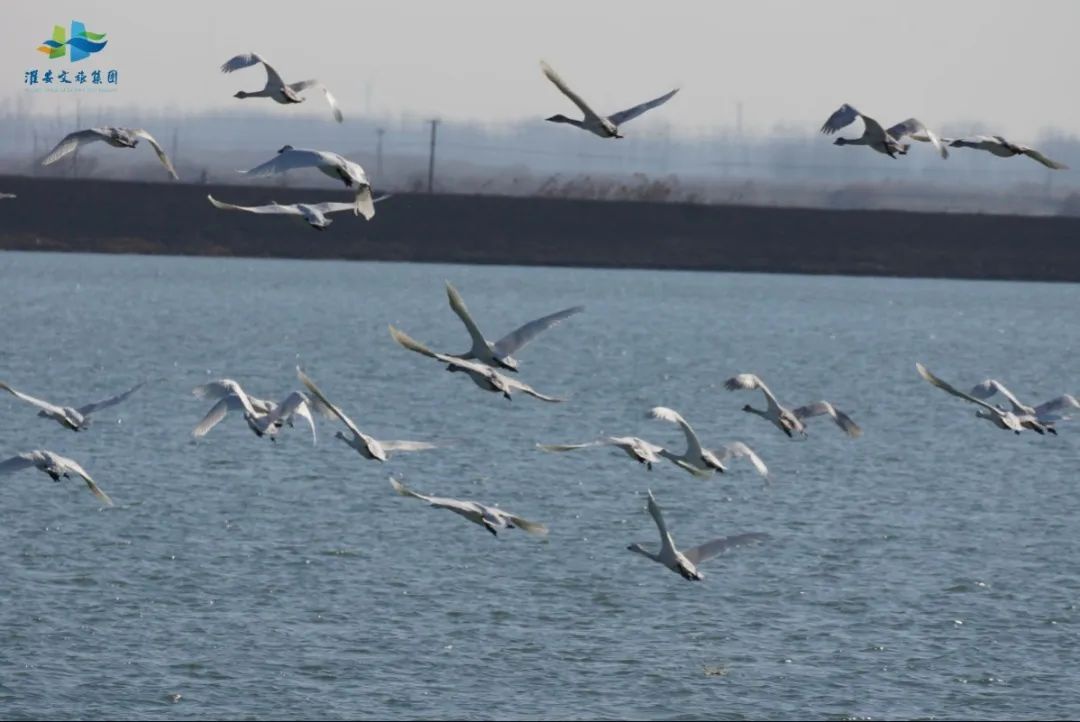 Top1����רҵ������Ѷ����������ƽ̨