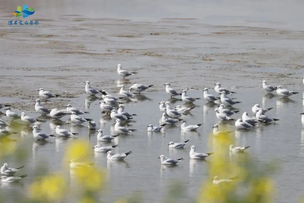 Top1����רҵ������Ѷ����������ƽ̨