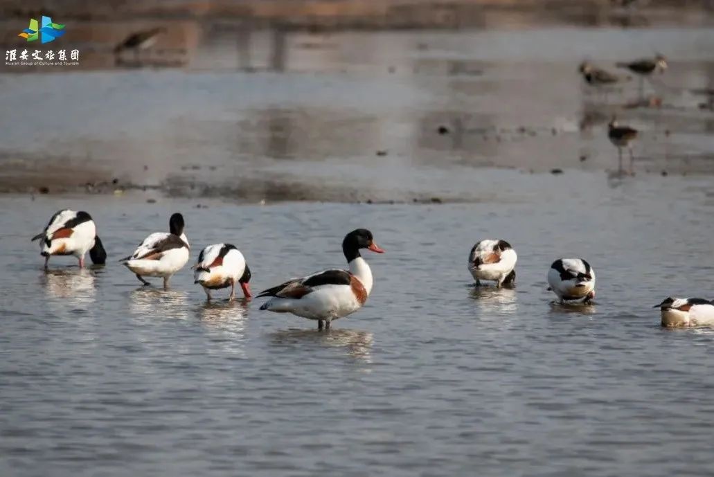 Top1����רҵ������Ѷ����������ƽ̨