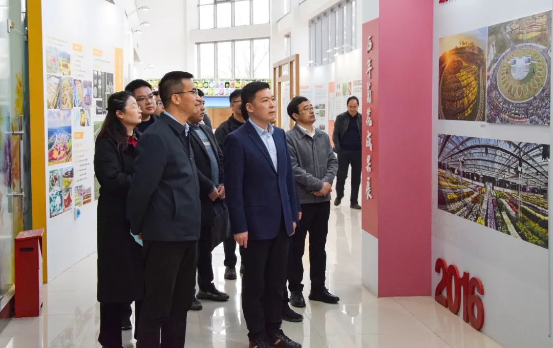 Top1����רҵ������Ѷ����������ƽ̨