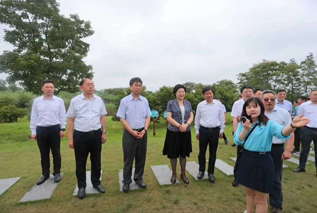 Top1����רҵ������Ѷ����������ƽ̨