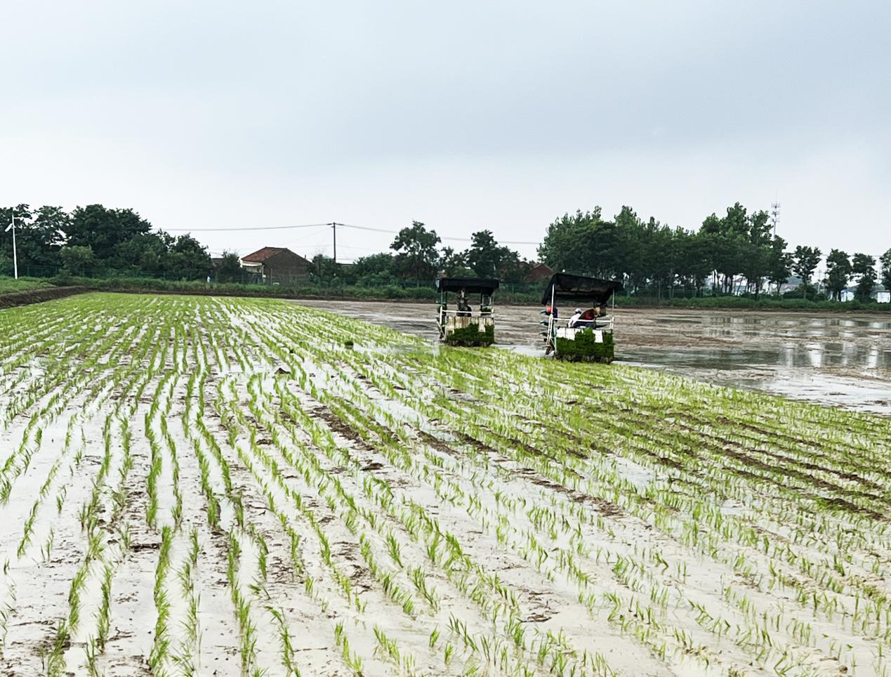 Top1����רҵ������Ѷ����������ƽ̨