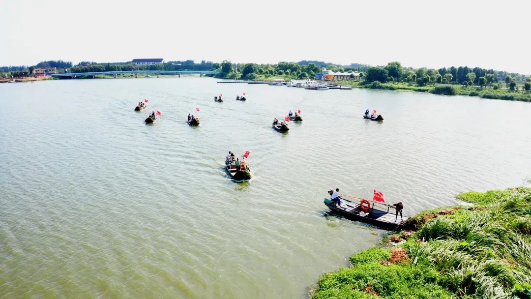 Top1����רҵ������Ѷ����������ƽ̨