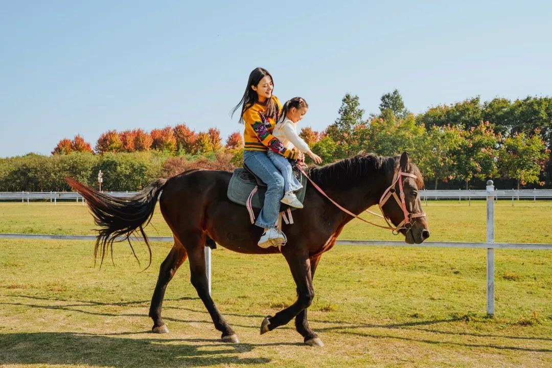 Top1����רҵ������Ѷ����������ƽ̨