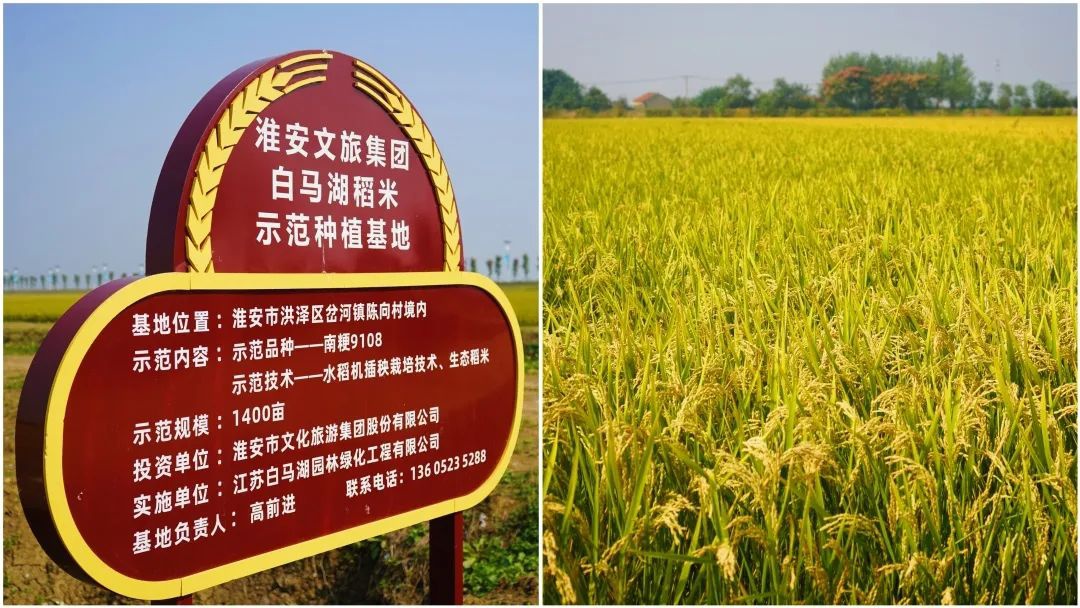 Top1����רҵ������Ѷ����������ƽ̨