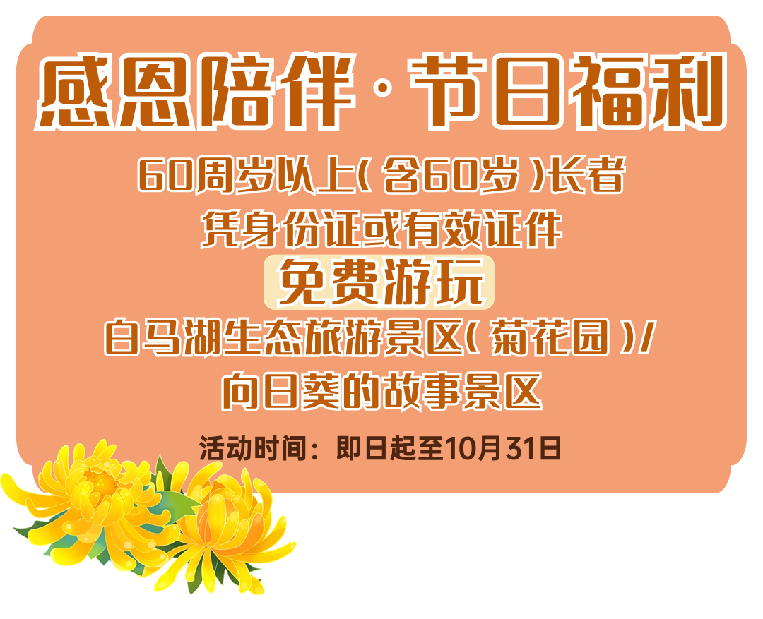 Top1����רҵ������Ѷ����������ƽ̨