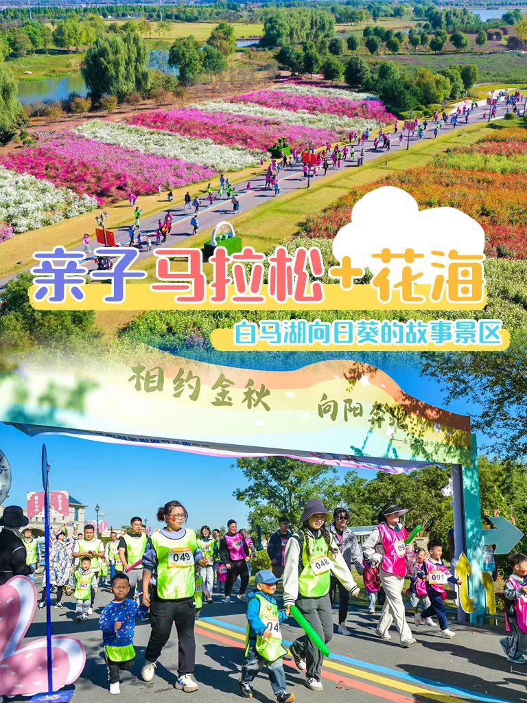 Top1����רҵ������Ѷ����������ƽ̨