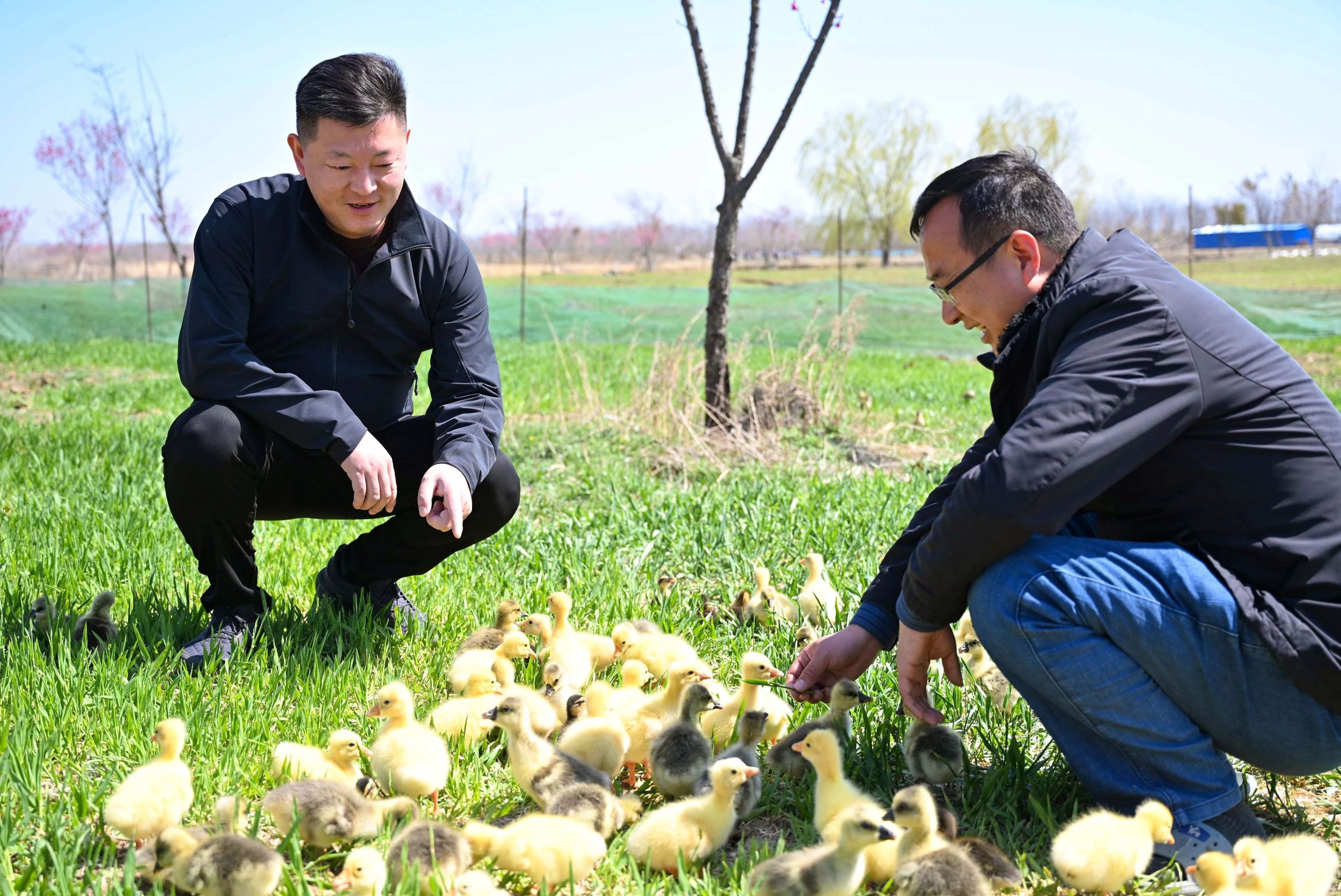 Top1体育专业体育资讯与赛事剖析平台