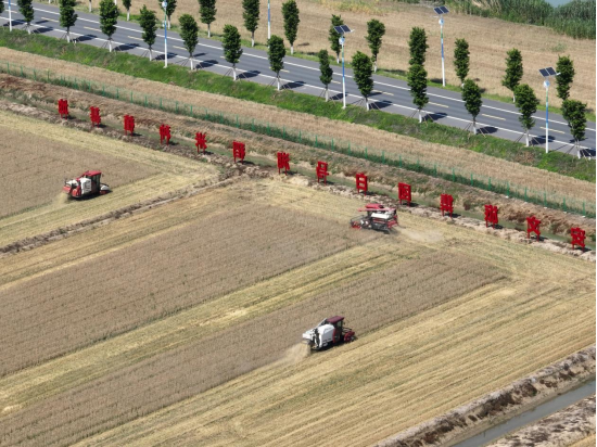 Top1����רҵ������Ѷ����������ƽ̨