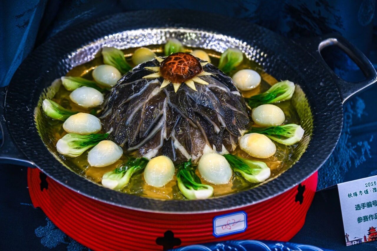 Top1����רҵ������Ѷ����������ƽ̨