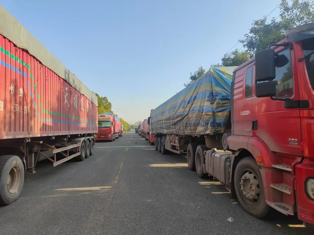 Top1����רҵ������Ѷ����������ƽ̨