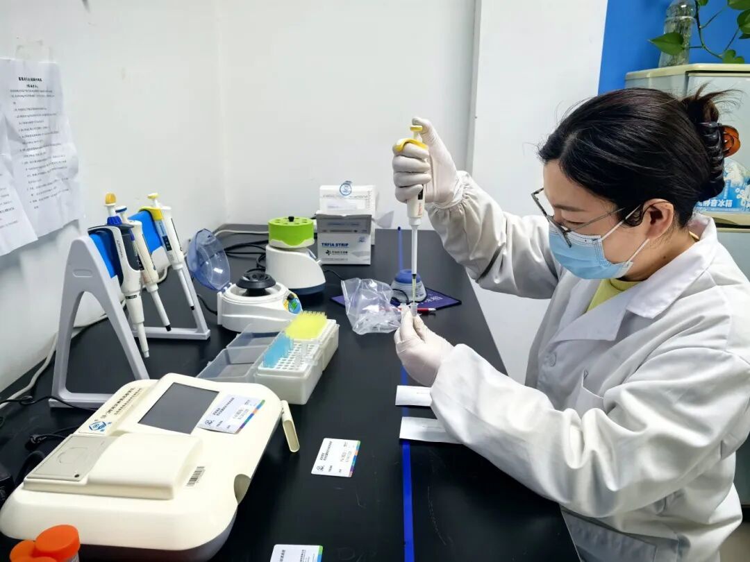 Top1����רҵ������Ѷ����������ƽ̨