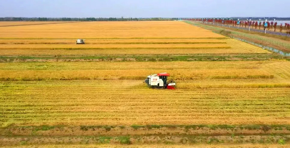 Top1����רҵ������Ѷ����������ƽ̨