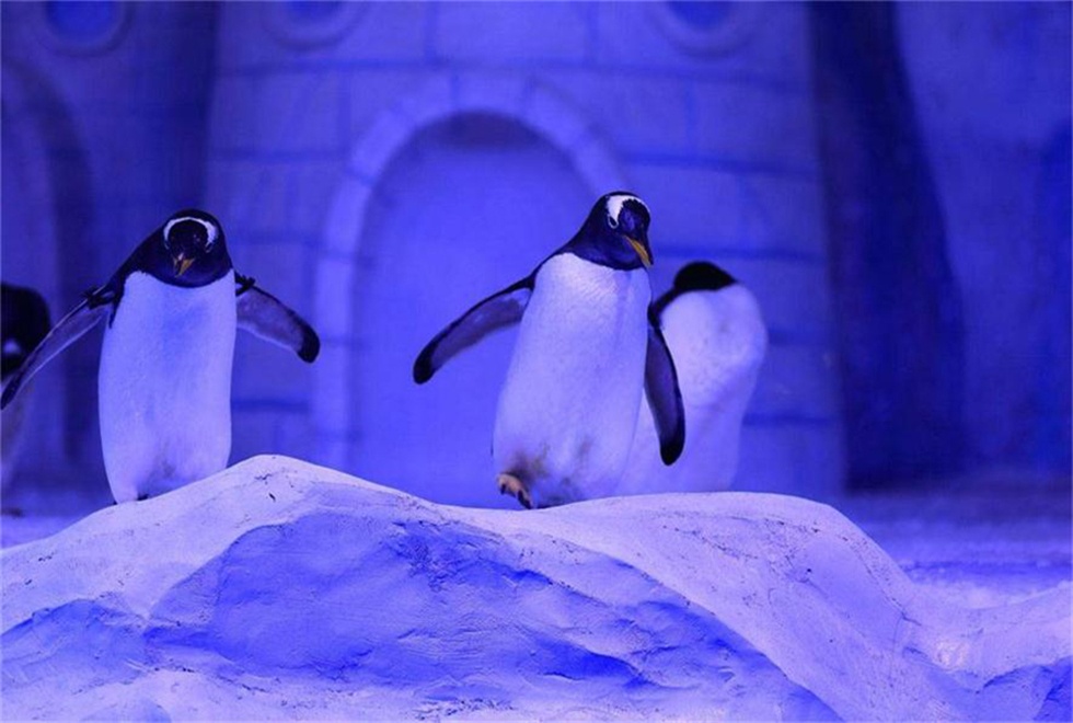 ������ȷ������������