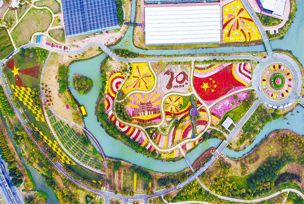 �������������ջ�չ