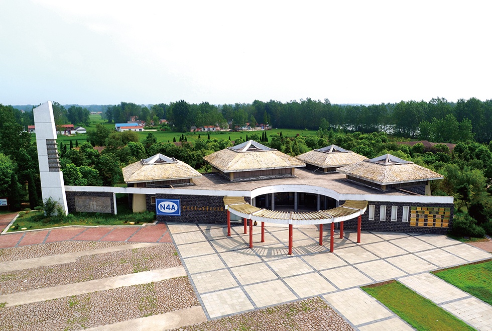 Top1����רҵ������Ѷ����������ƽ̨