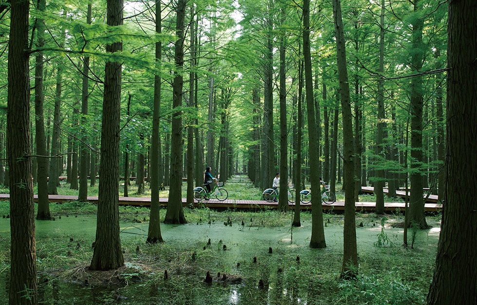 Top1����רҵ������Ѷ����������ƽ̨