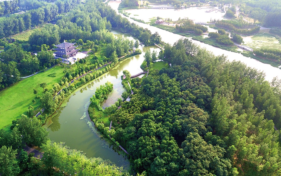 Top1����רҵ������Ѷ����������ƽ̨